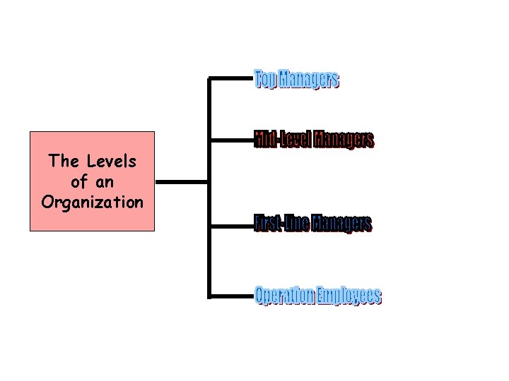 The Levels of an Organization 