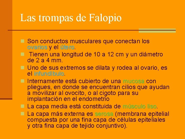 Las trompas de Falopio n Son conductos musculares que conectan los n n n