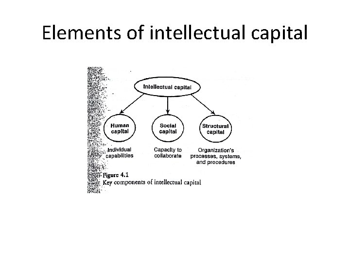 Elements of intellectual capital 