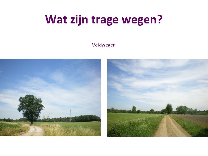 Wat zijn trage wegen? Veldwegen 