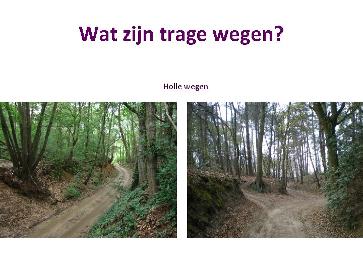 Wat zijn trage wegen? Holle wegen 