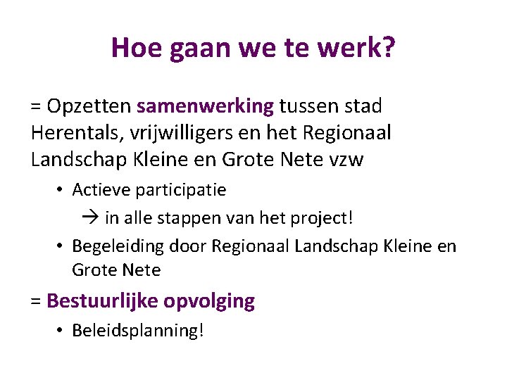 Hoe gaan we te werk? = Opzetten samenwerking tussen stad Herentals, vrijwilligers en het