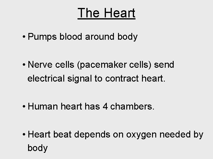 The Heart • Pumps blood around body • Nerve cells (pacemaker cells) send electrical