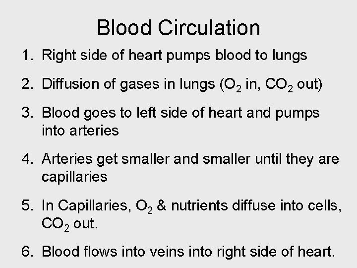 Blood Circulation 1. Right side of heart pumps blood to lungs 2. Diffusion of