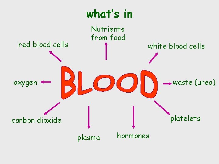what’s in red blood cells Nutrients from food white blood cells oxygen waste (urea)