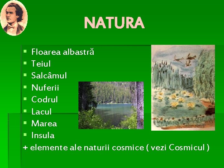 NATURA § Floarea albastră § Teiul § Salcâmul § Nuferii § Codrul § Lacul