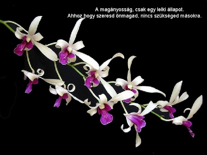 A magányosság, csak egy lelki állapot. Ahhoz hogy szeresd önmagad, nincs szükséged másokra. 