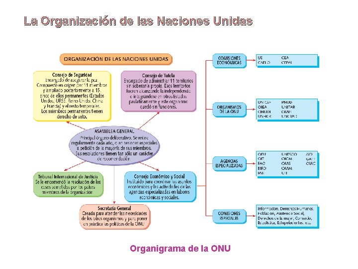 La Organización de las Naciones Unidas Organigrama de la ONU La Organización de las Naciones Unidas Organigrama de la ONU