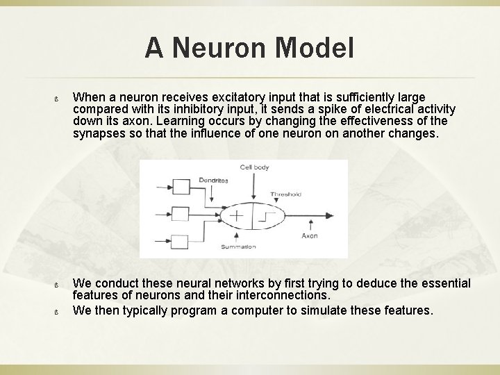 A Neuron Model ß ß ß When a neuron receives excitatory input that is