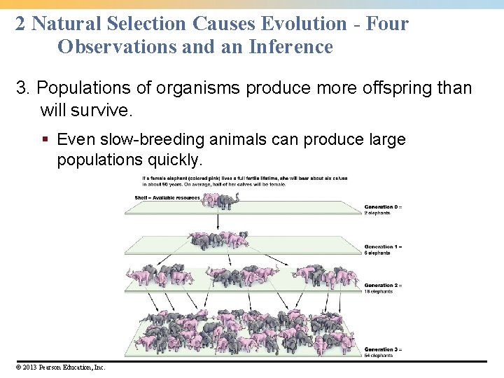 2 Natural Selection Causes Evolution - Four Observations and an Inference 3. Populations of