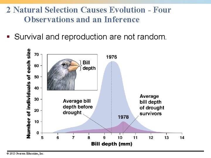 2 Natural Selection Causes Evolution - Four Observations and an Inference § Survival and