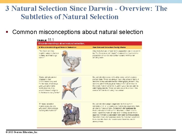 3 Natural Selection Since Darwin - Overview: The Subtleties of Natural Selection § Common