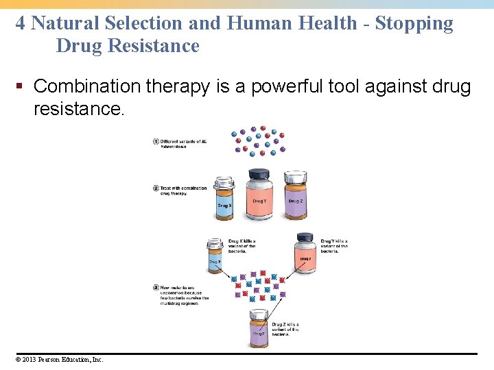 4 Natural Selection and Human Health - Stopping Drug Resistance § Combination therapy is