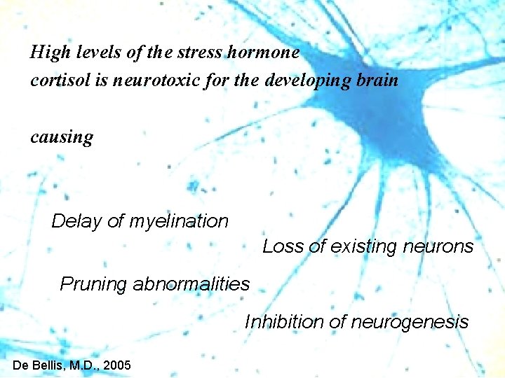 High levels of the stress hormone cortisol is neurotoxic for the developing brain causing