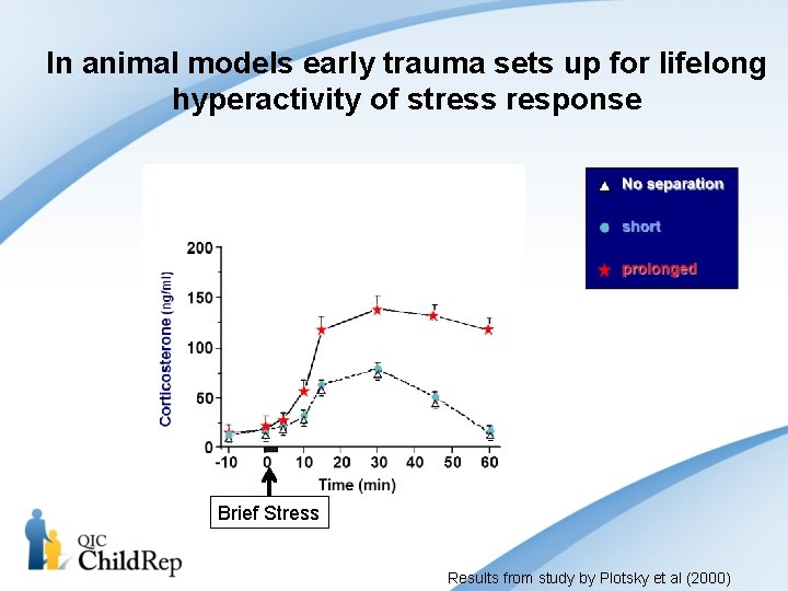 In animal models early trauma sets up for lifelong hyperactivity of stress response Adult