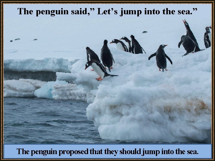 The penguin said, ” Let’s jump into the sea. ” The penguin proposed that