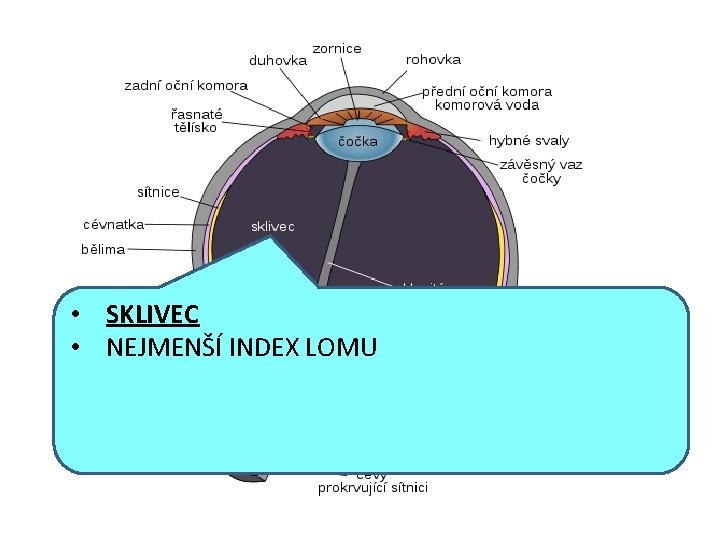  • SKLIVEC • NEJMENŠÍ INDEX LOMU 