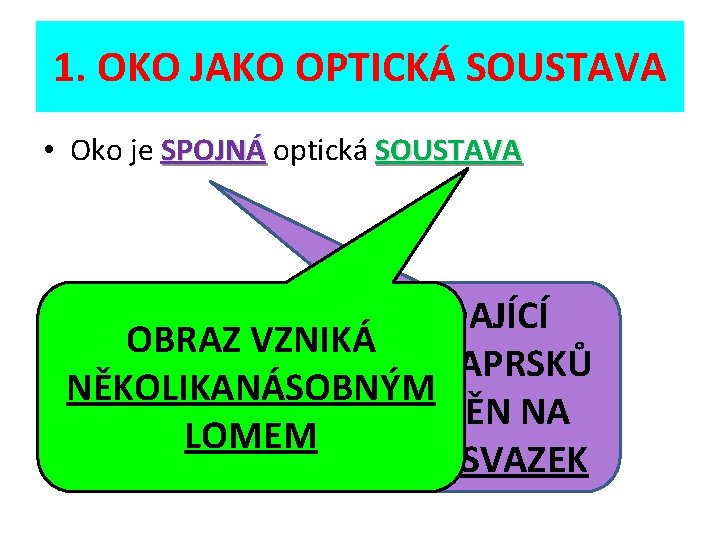 1. OKO JAKO OPTICKÁ SOUSTAVA • Oko je SPOJNÁ optická SOUSTAVA DOPADAJÍCÍ OBRAZ VZNIKÁ