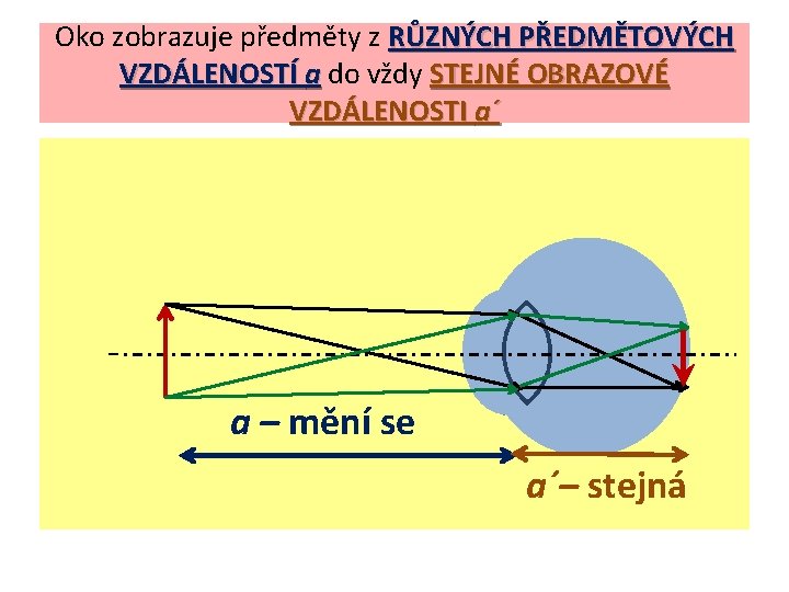 Oko zobrazuje předměty z RŮZNÝCH PŘEDMĚTOVÝCH VZDÁLENOSTÍ a do vždy STEJNÉ OBRAZOVÉ VZDÁLENOSTI a´