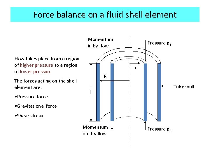 Force balance on a fluid shell element Momentum in by flow Flow takes place