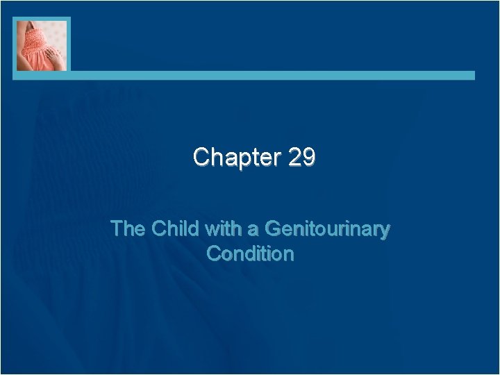 Chapter 29 The Child with a Genitourinary Condition 