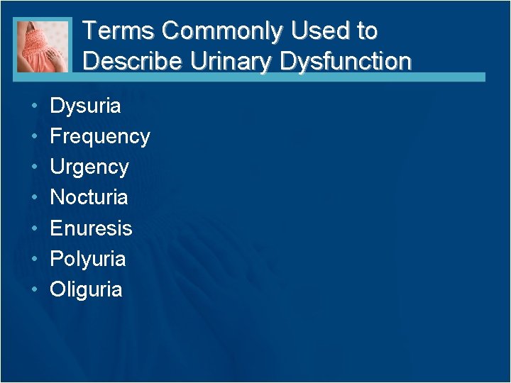 Terms Commonly Used to Describe Urinary Dysfunction • • Dysuria Frequency Urgency Nocturia Enuresis