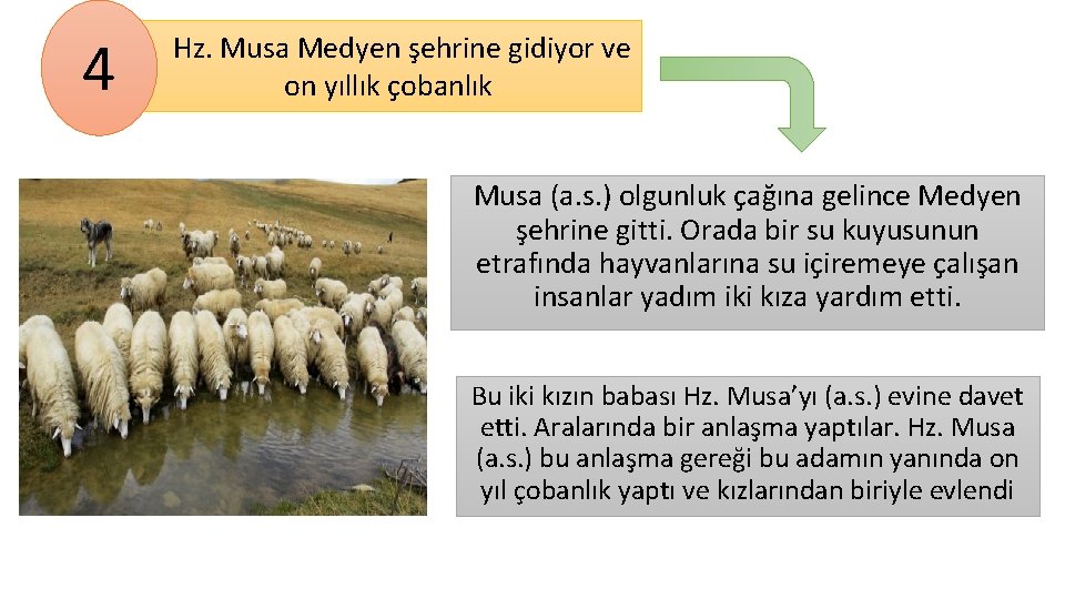 4 Hz. Musa Medyen şehrine gidiyor ve on yıllık çobanlık Musa (a. s. )