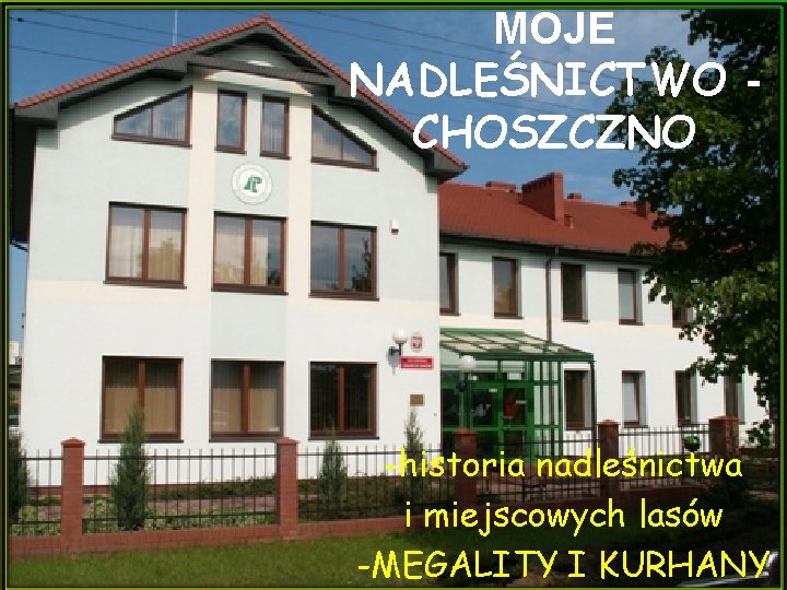 MOJE NADLEŚNICTWO CHOSZCZNO -historia nadleśnictwa i miejscowych lasów -MEGALITY I KURHANY 