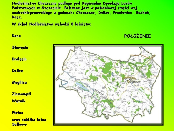 Nadleśnictwo Choszczno podlega pod Regionalną Dyrekcję Lasów Państwowych w Szczecinie. Położone jest w południowej