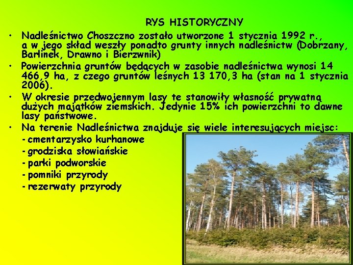 • • RYS HISTORYCZNY Nadleśnictwo Choszczno zostało utworzone 1 stycznia 1992 r. ,