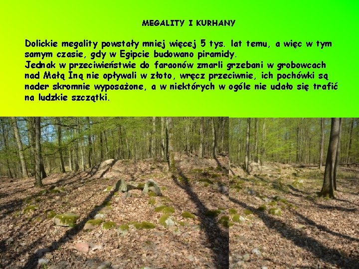 MEGALITY I KURHANY Dolickie megality powstały mniej więcej 5 tys. lat temu, a więc