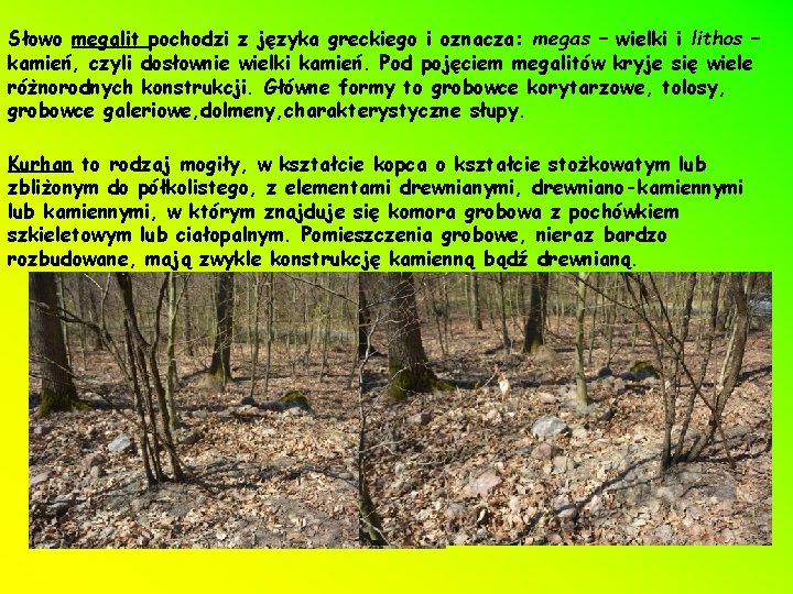 Słowo megalit pochodzi z języka greckiego i oznacza: megas – wielki i lithos –