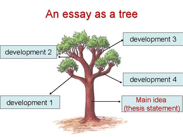 An essay as a tree development 3 development 2 development 4 development 1 Main