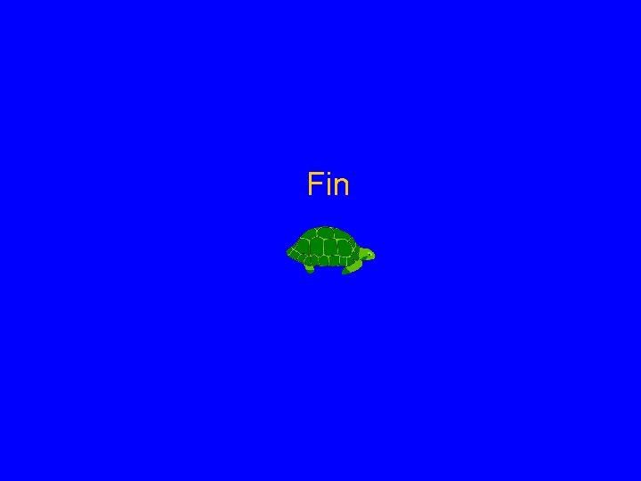 Fin 