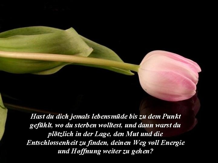 Gott Hast Du Jemals Den Wunsch Versprt Etwas