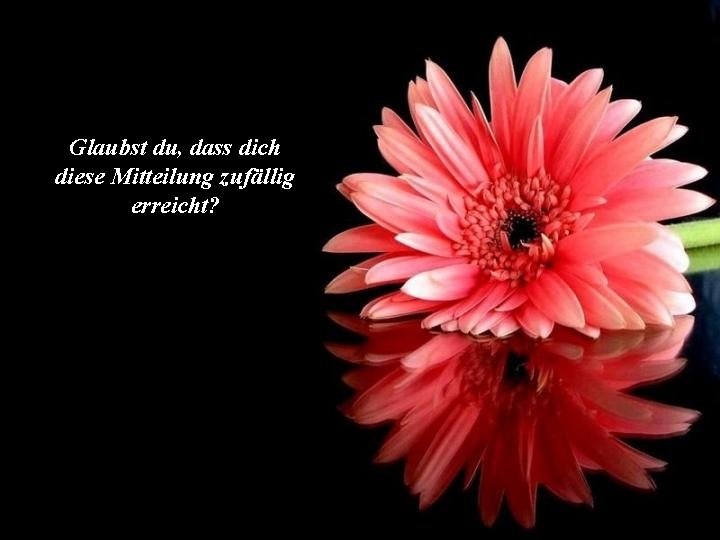 Gott Hast Du Jemals Den Wunsch Versprt Etwas