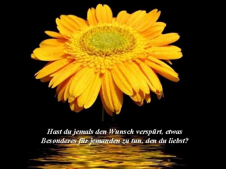 Gott Hast Du Jemals Den Wunsch Versprt Etwas