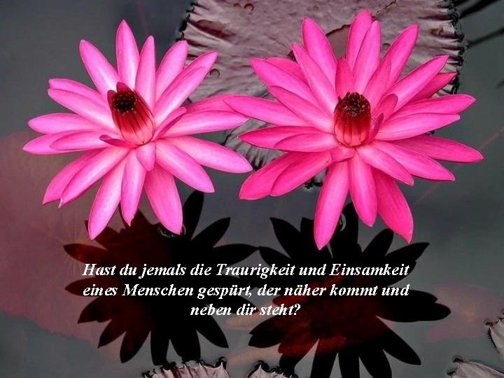 Gott Hast Du Jemals Den Wunsch Versprt Etwas