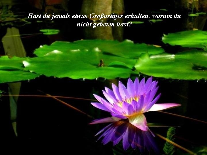 Gott Hast Du Jemals Den Wunsch Versprt Etwas