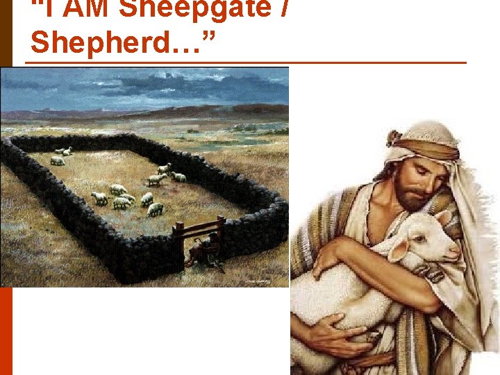 “I AM Sheepgate / Shepherd…” 