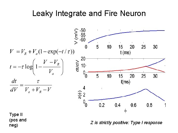 Leaky Integrate and Fire Neuron Type II (pos and neg) Z is strictly positive: Leaky Integrate and Fire Neuron Type II (pos and neg) Z is strictly positive: