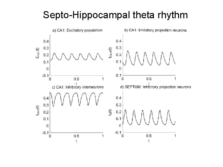 Septo-Hippocampal theta rhythm Septo-Hippocampal theta rhythm