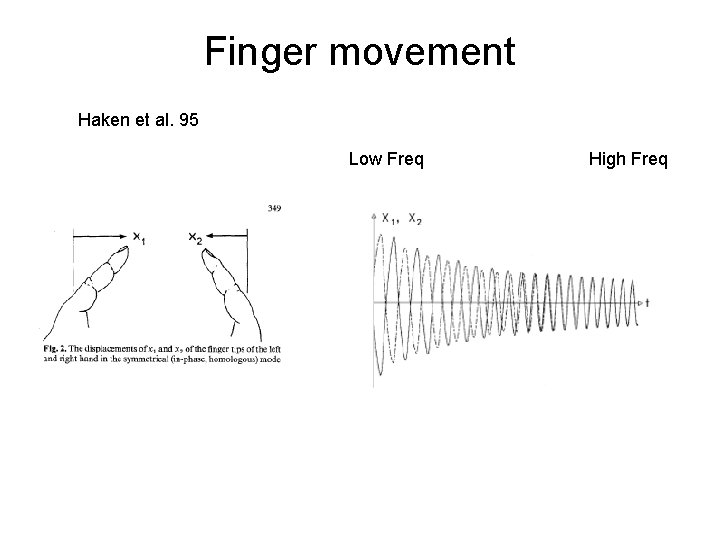Finger movement Haken et al. 95 Low Freq High Freq Finger movement Haken et al. 95 Low Freq High Freq