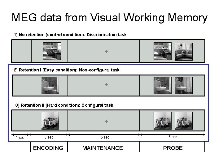 MEG data from Visual Working Memory 1) No retention (control condition): Discrimination task + MEG data from Visual Working Memory 1) No retention (control condition): Discrimination task +