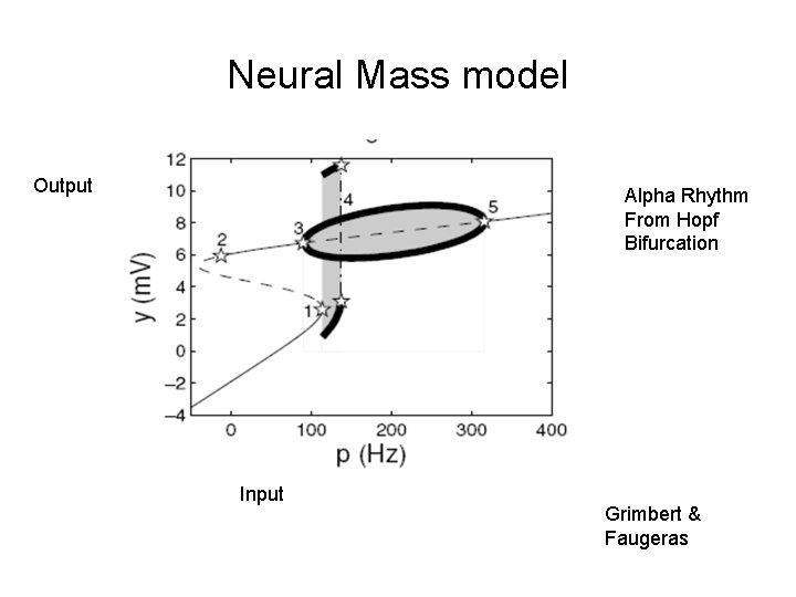 Neural Mass model Output Alpha Rhythm From Hopf Bifurcation Input Grimbert & Faugeras Neural Mass model Output Alpha Rhythm From Hopf Bifurcation Input Grimbert & Faugeras