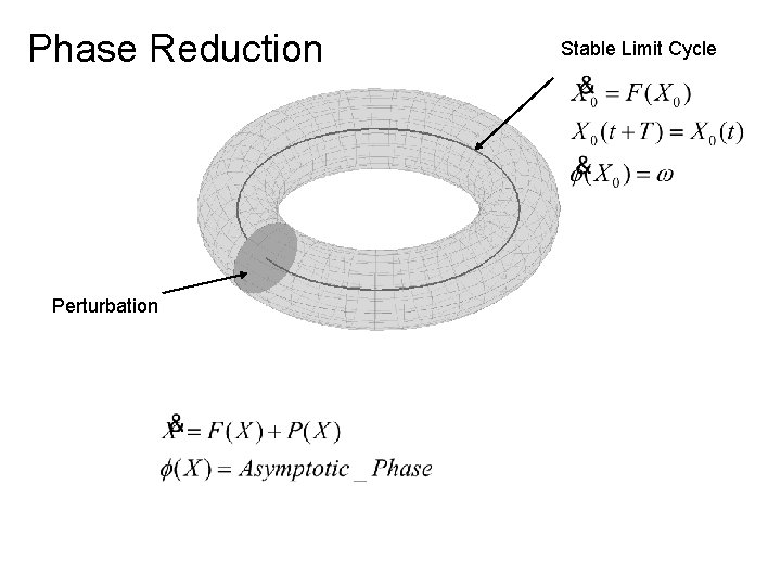 Phase Reduction Perturbation Stable Limit Cycle Phase Reduction Perturbation Stable Limit Cycle