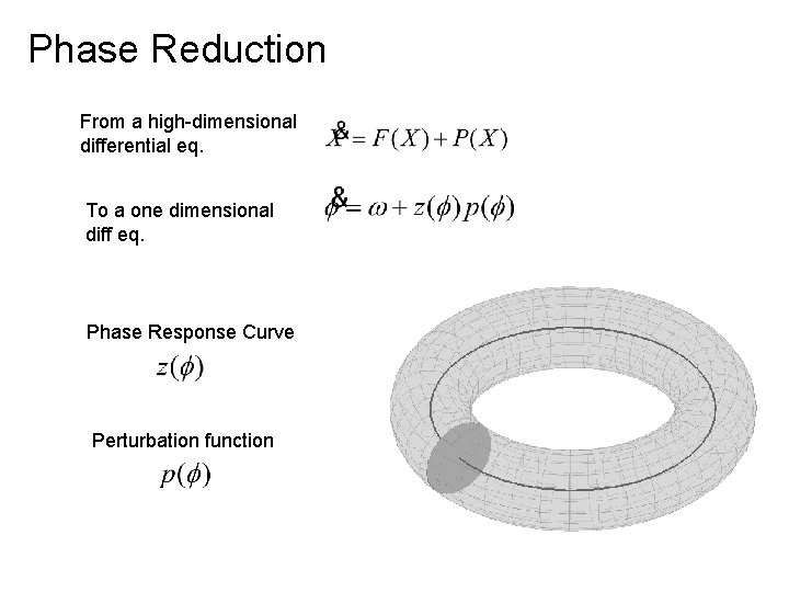 Phase Reduction From a high-dimensional differential eq. To a one dimensional diff eq. Phase Phase Reduction From a high-dimensional differential eq. To a one dimensional diff eq. Phase