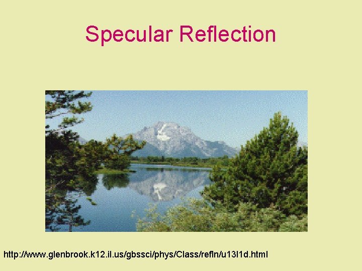 Specular Reflection http: //www. glenbrook. k 12. il. us/gbssci/phys/Class/refln/u 13 l 1 d. html