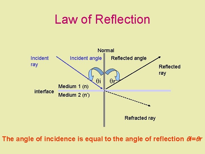Law of Reflection Incident ray interface Normal Incident angle Reflected ray Medium 1 (n)