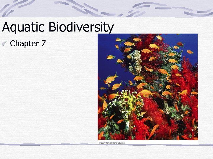 Aquatic Biodiversity Chapter 7 